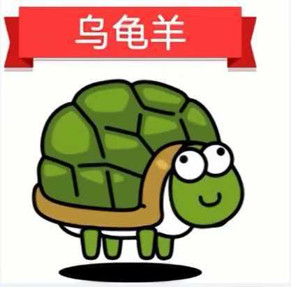 9. DNS协议