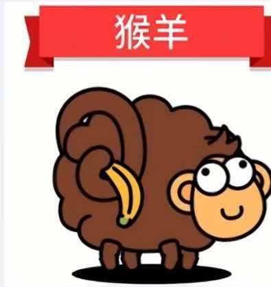 六、Linux 实操配套理论